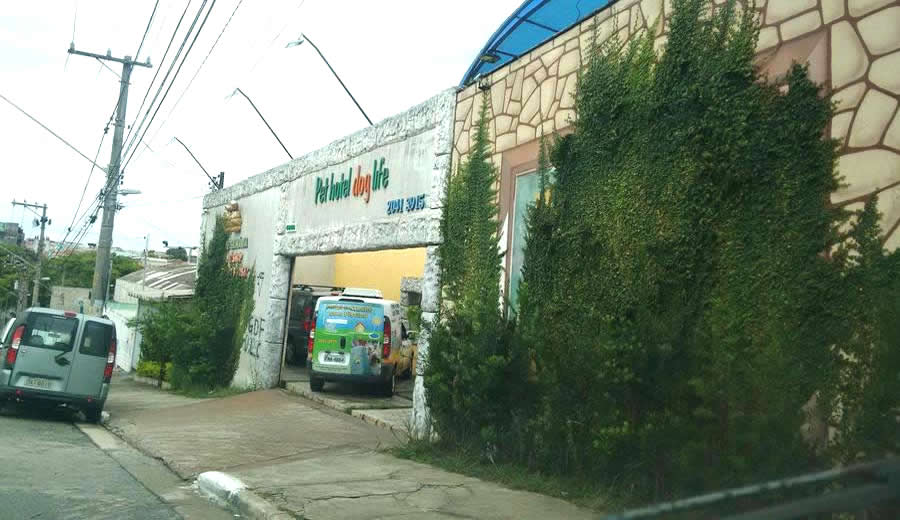 Hotel para Cães e Gatos e Animais Silvestres em São Paulo - Penha, SP na Zona Leste.