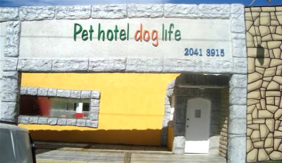 Vai viajar - Hotel e Creche para Caes, Gatos e Silvestres em São Paulo - SP na Zona Leste.