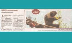 Jornal O Estado de São Paulo