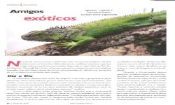 Revista IN