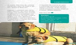 Revista Pet Mag