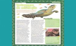 Revista Atrevidinha (Pág.73)