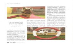 Revista Pet News