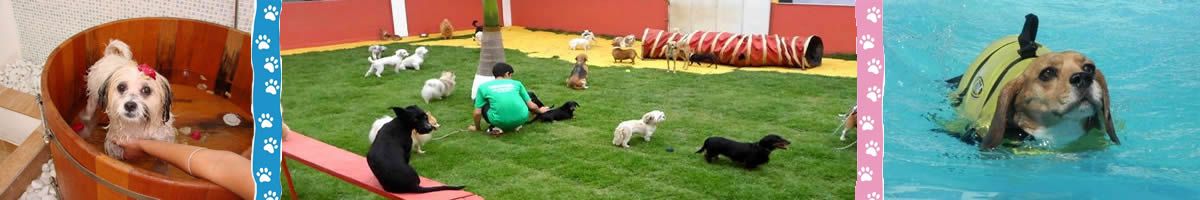 Hotel para Cães e Gatos e Animais Silvestres em São Paulo - Penha, SP na Zona Leste.