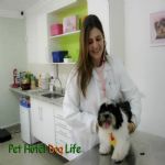 Consultório Veterinário