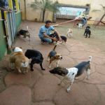 Feriado 7 de Setembro 2012