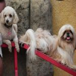 Feriado 7 de Setembro 2012