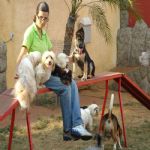 Feriado 7 de Setembro 2012