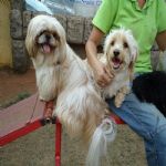 Feriado 7 de Setembro 2012