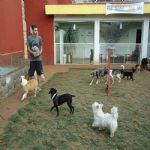 Feriado 7 de Setembro 2012