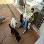 Feriado 7 de Setembro 2012