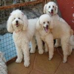 Feriado 7 de Setembro 2012