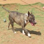 Feriado 7 de Setembro 2012