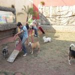 Feriado 7 de Setembro 2012