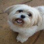 Feriado 7 de Setembro 2012