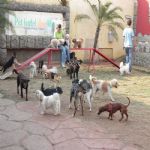 Feriado 7 de Setembro 2012