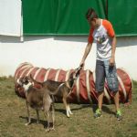 Feriado 7 de Setembro 2012