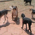 Feriado 7 de Setembro 2012