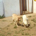 Feriado 7 de Setembro 2012