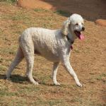 Feriado 7 de Setembro 2012