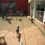 Feriado 7 de Setembro 2012