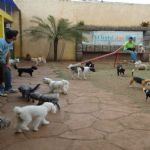 Feriado 7 de Setembro 2012