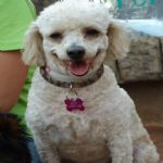 Feriado 7 de Setembro 2012