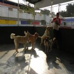 Feriado 7 de Setembro 2012