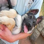 Feriado 7 de Setembro 2012