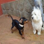 Feriado 7 de Setembro 2012