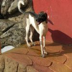 Feriado 7 de Setembro 2012