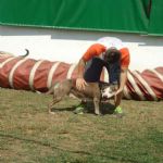 Feriado 7 de Setembro 2012