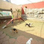 Feriado 7 de Setembro 2012