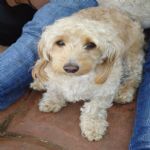 Feriado 7 de Setembro 2012