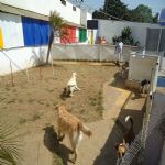 Feriado 7 de Setembro 2012