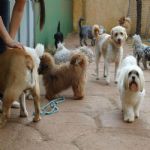 Feriado 7 de Setembro 2012