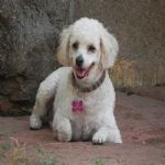 Feriado 7 de Setembro 2012