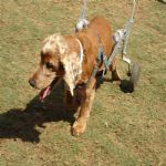 Feriado 7 de Setembro 2012