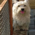 Feriado 7 de Setembro 2012