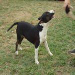 Feriado 7 de Setembro 2012