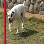 Feriado 7 de Setembro 2012