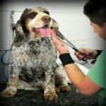 Feriado 7 de Setembro 2012