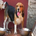 Feriado 7 de Setembro 2012