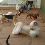 Feriado 7 de Setembro 2012