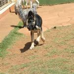 Feriado 7 de Setembro 2012