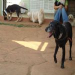 Feriado 7 de Setembro 2012