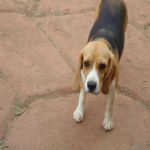 Feriado 7 de Setembro 2012