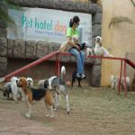 Feriado 7 de Setembro 2012