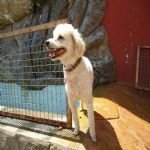 Feriado 7 de Setembro 2012