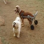 Feriado 7 de Setembro 2012